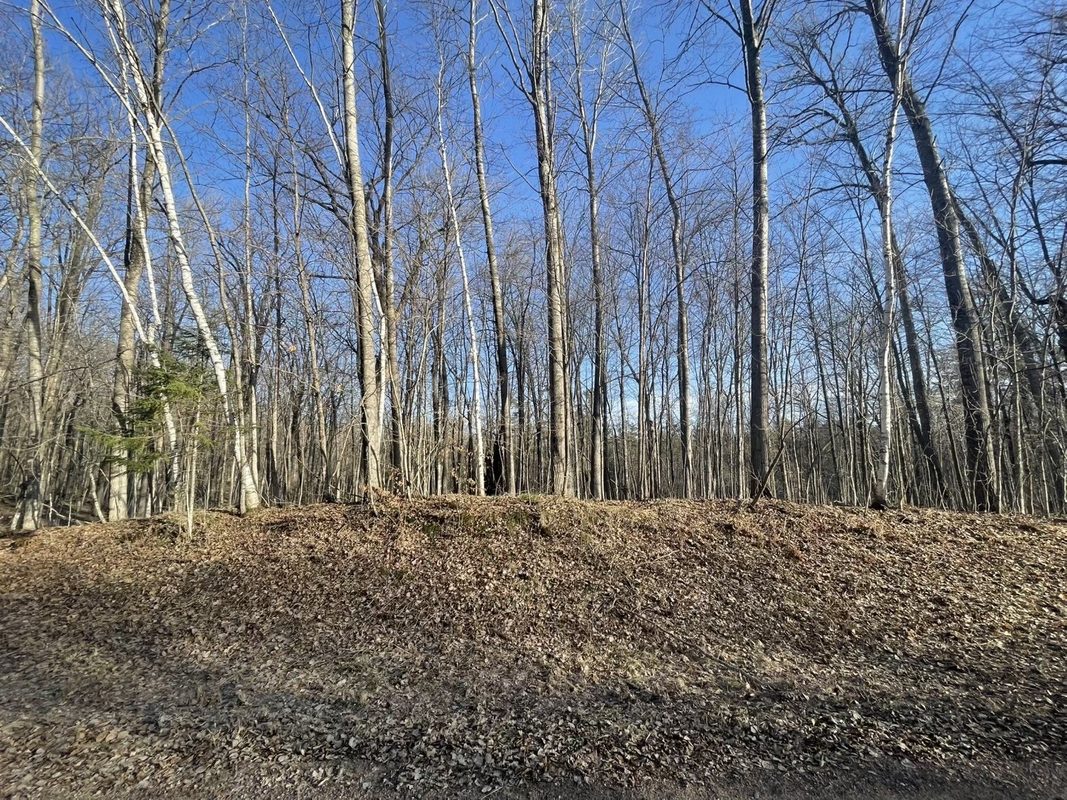 2897 29 7/8 Avenue Birchwood WI 54817 — photo 7