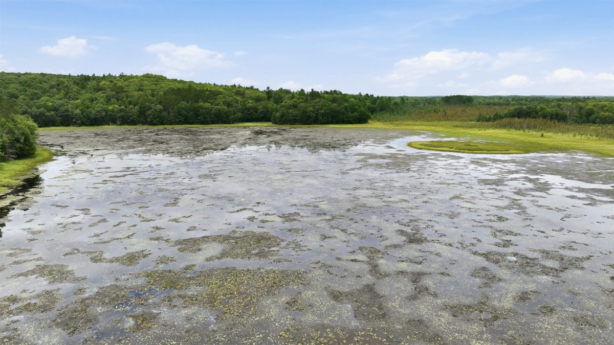 0 Goose Lake, Spooner WI 54801 - Land house for sale - MLS #1603400 - image12
