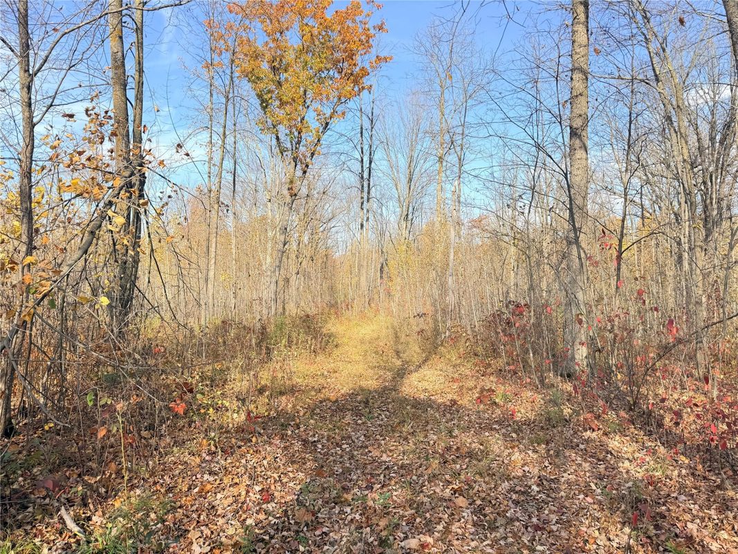 0 County Highway C, Rice Lake WI 54868 - Land house for sale - MLS #1605929 - image36