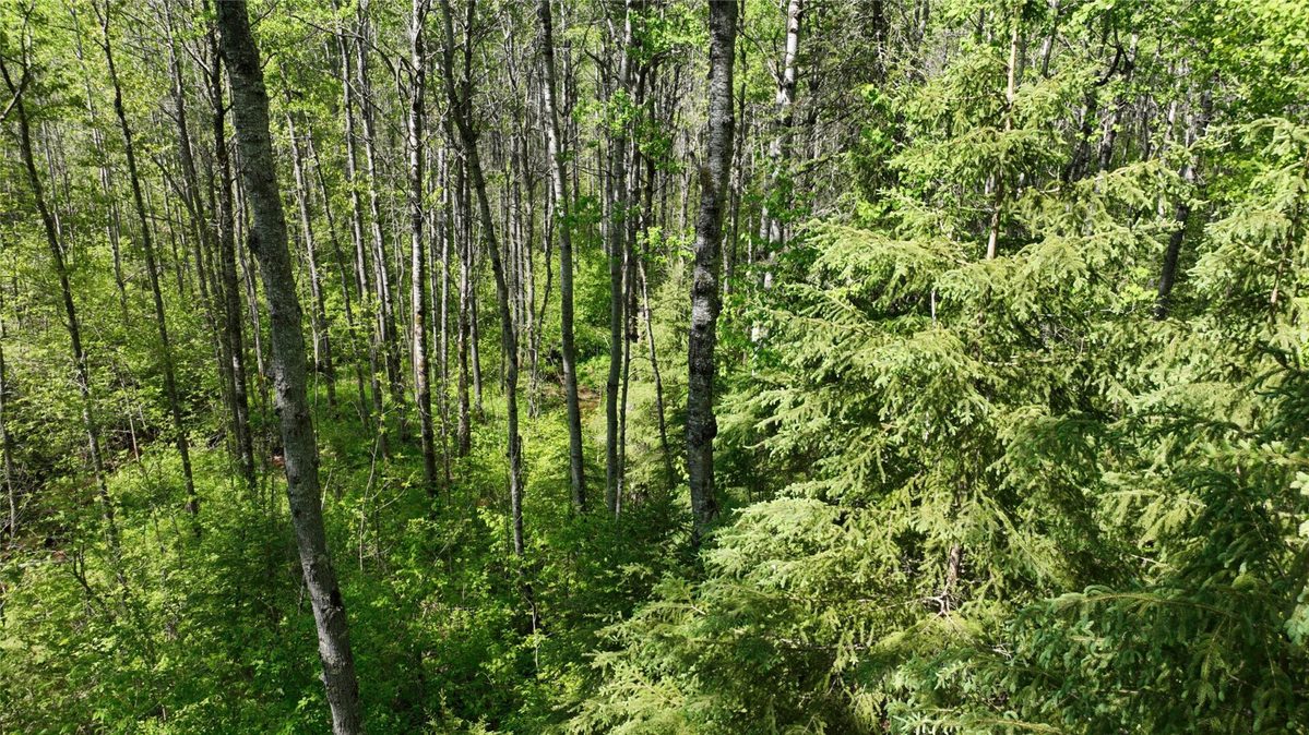 1640 County Road W, Superior WI 54880 - Land house for sale - MLS #1602205 - image34