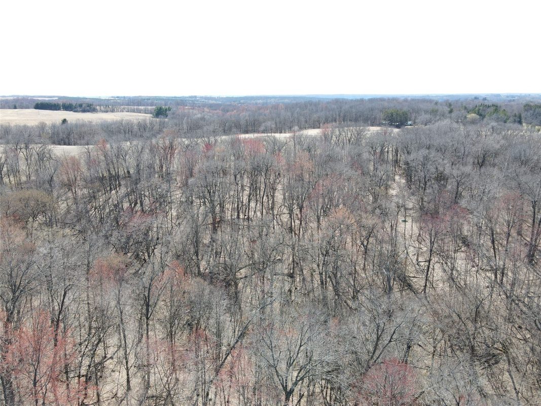 000 160th Avenue Maiden Rock WI 54750 — photo 8