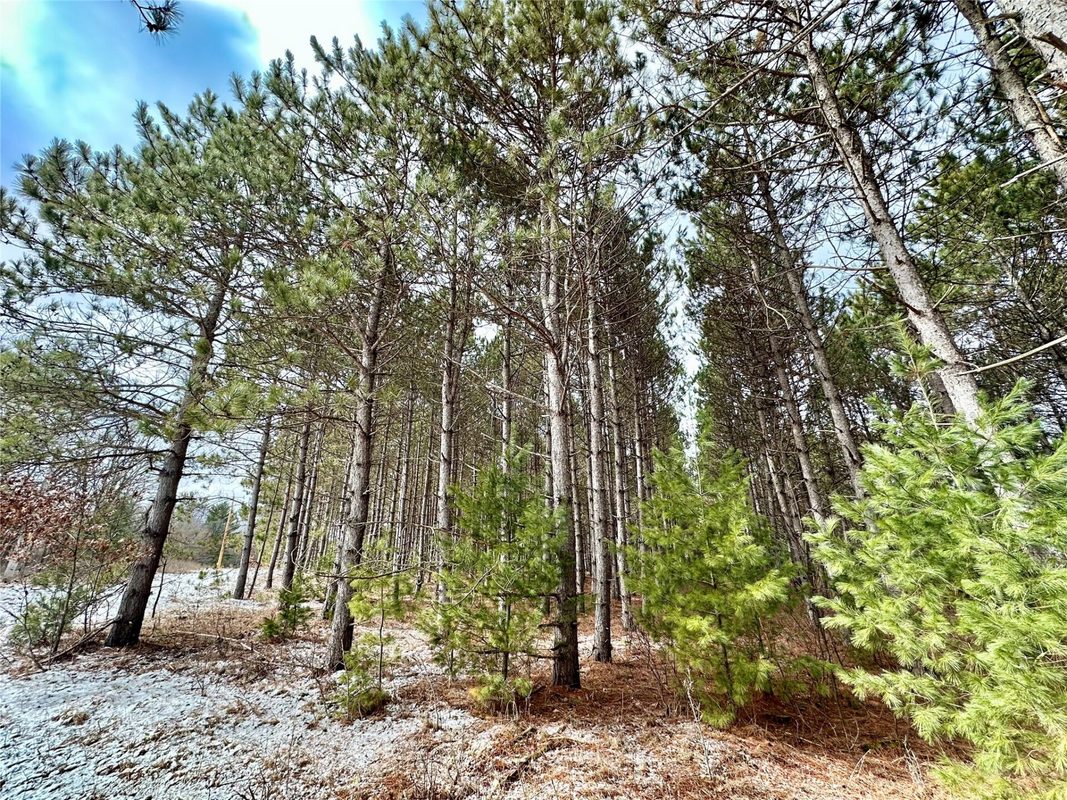 TBD 20 Acres 630th Street Colfax WI 54730 — photo 55