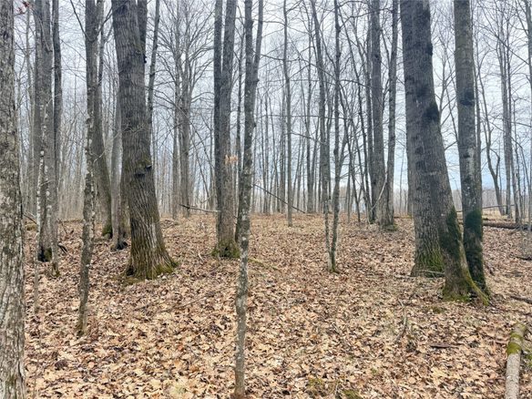 Land at Lot 3 Hwy X, Glen Flora, WI 54526 — photo 1