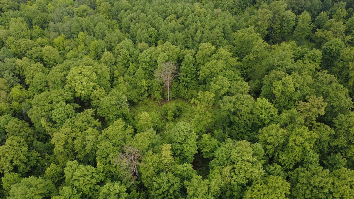 000 Boundary Road, Ringle WI 54471 - Land house for sale - MLS #1602183 - image16
