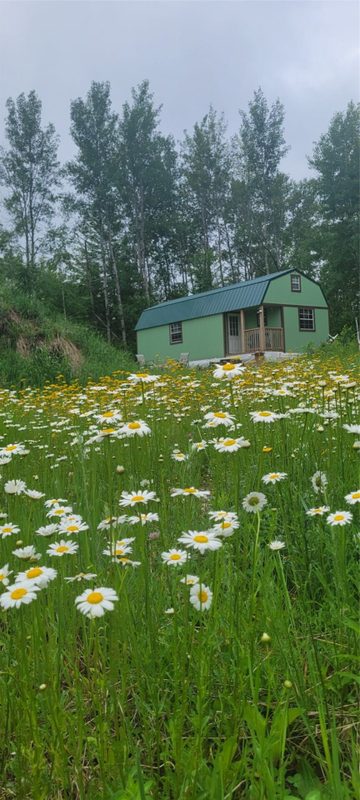 11116 Blackberry Road, Trego WI 54888 - Land house for sale - MLS #1601881 - image5