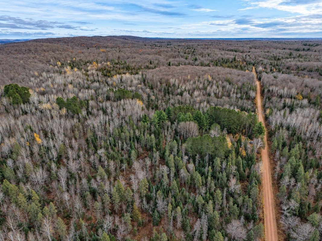 76886 Red House Road, Mellen WI 54546 - Land house for sale - MLS #1606363 - image31