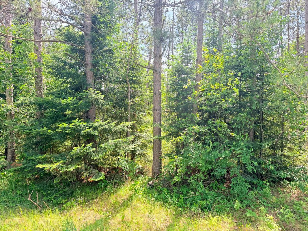 W11097 Boat Landing Road, Ladysmith WI 54848 - Land house for sale - MLS #1605411 - image20
