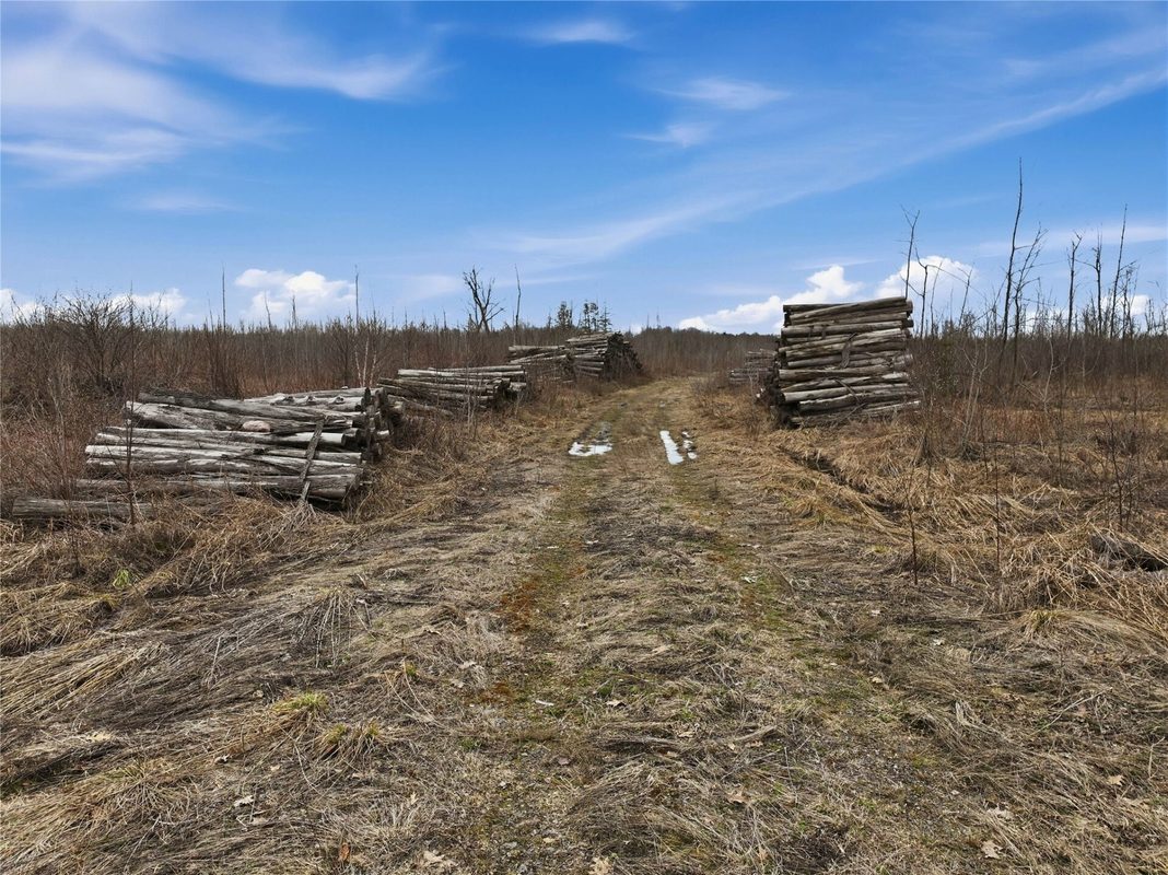 51.54 Acres Along County Road CC, Couderay, WI — photo 2