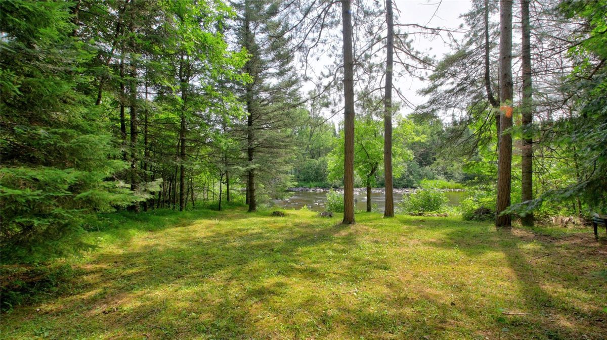 9146N Chippewa Pines Way, Winter WI 54896 - Residential house for sale - MLS #1604445 - image54