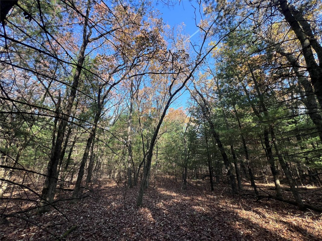 TBD Fish Drive, Grand Marsh WI 53936 - Land house for sale - MLS #1606229 - image19