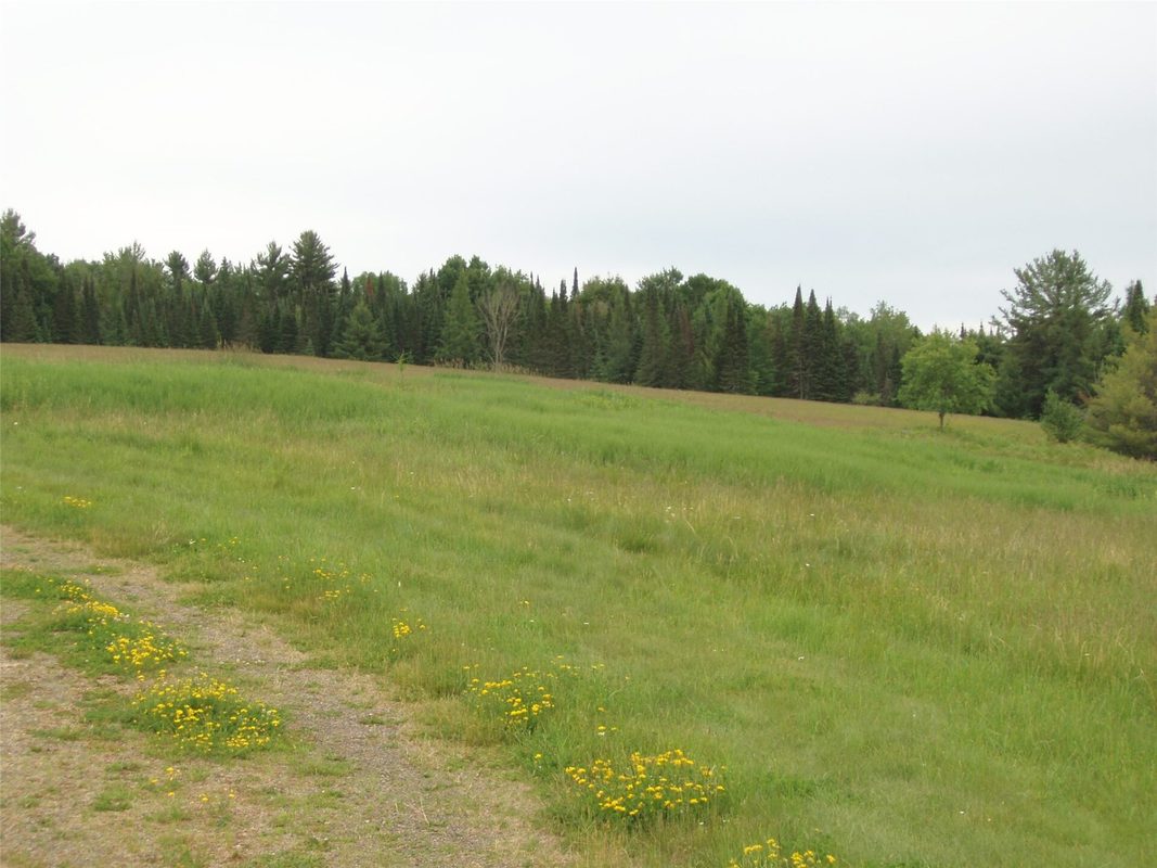 N16798 Bass Lake Road, Butternut WI 54514 - Residential house for sale - MLS #1603059 - image37