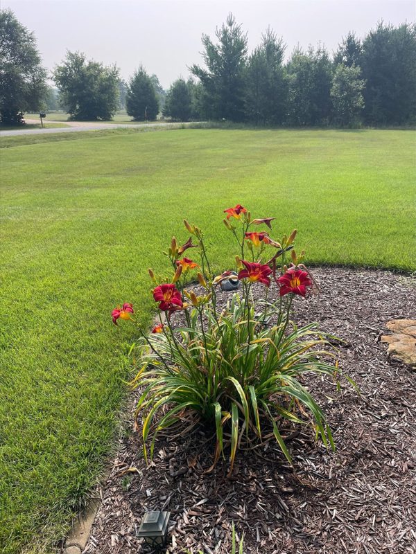 Residential at E3547 Pine Creek Road, Eleva, WI 54738 — photo 6