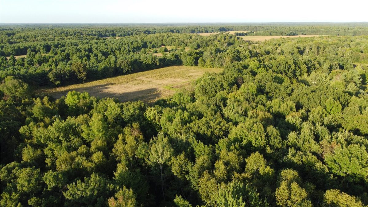 00 340th Avenue, Clam Falls WI 54837 - Land house for sale - MLS #1604779 - image5