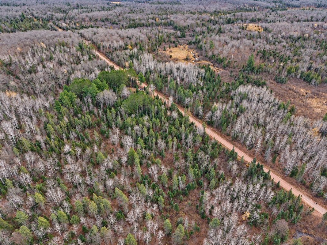 76886 Red House Road, Mellen WI 54546 - Land house for sale - MLS #1606363 - image29
