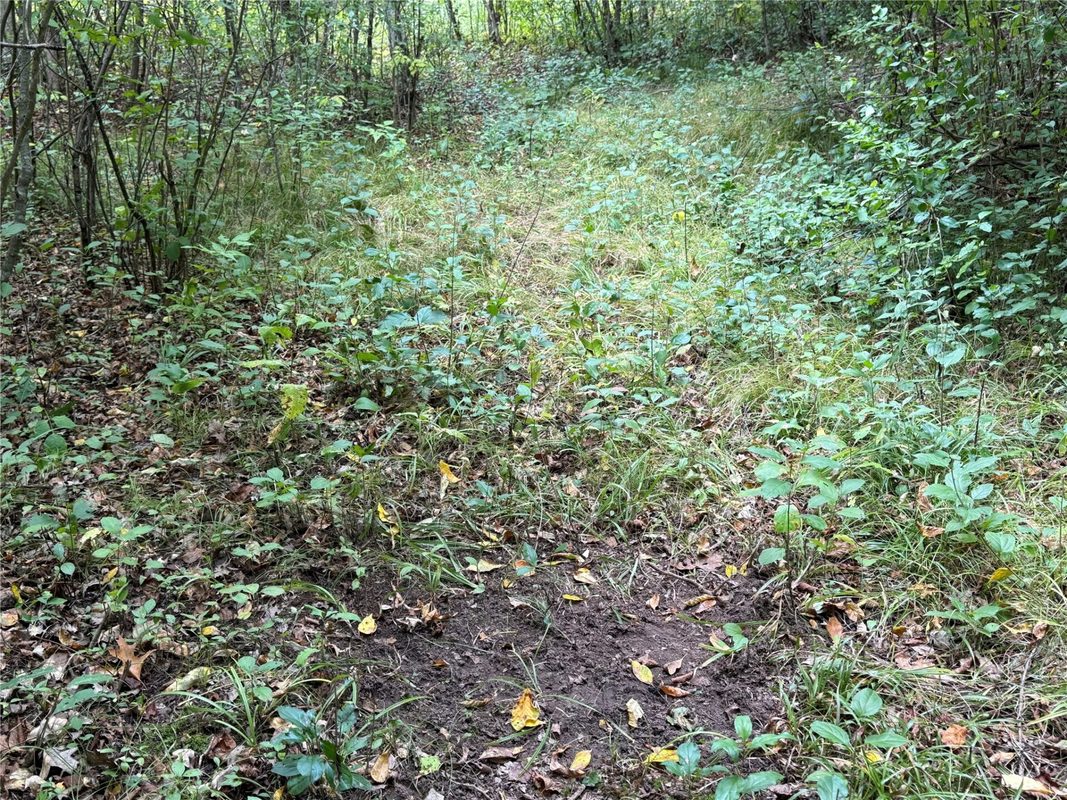 XXX 23 1/2 Street, Rice Lake WI 54868 - Land house for sale - MLS #1605312 - image19