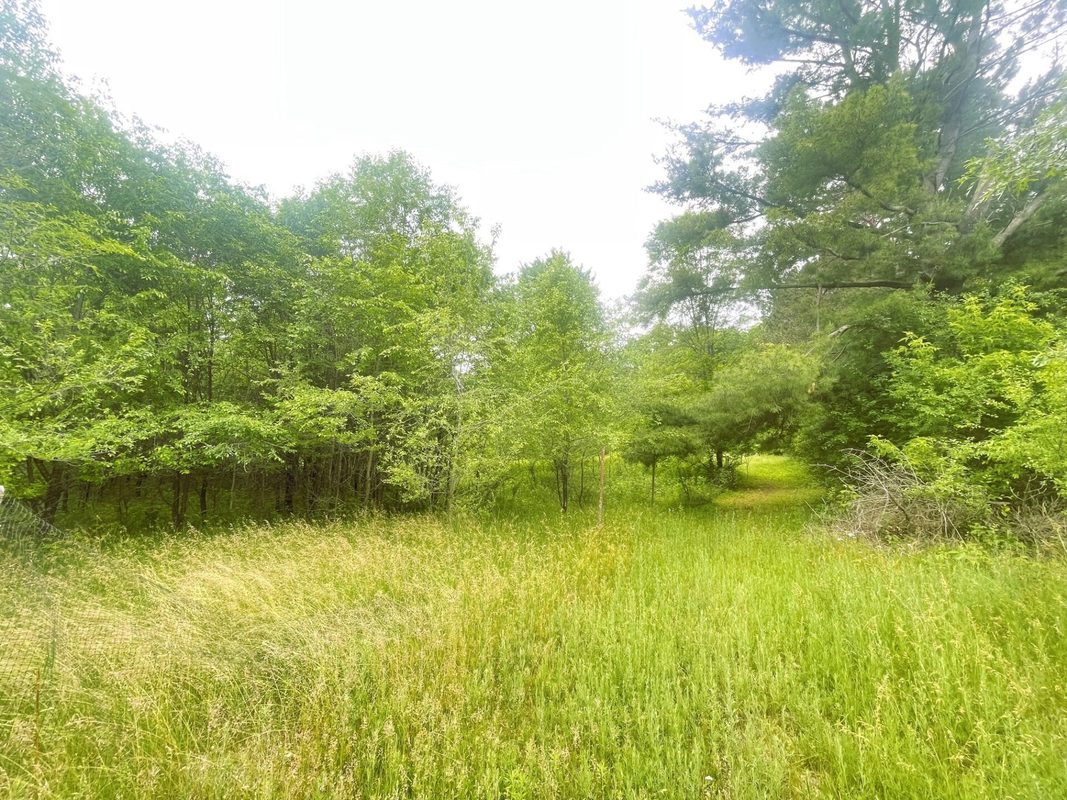 4715 Olson Drive, Eau Claire WI 54703 - Residential house for sale - MLS #1602171 - image17