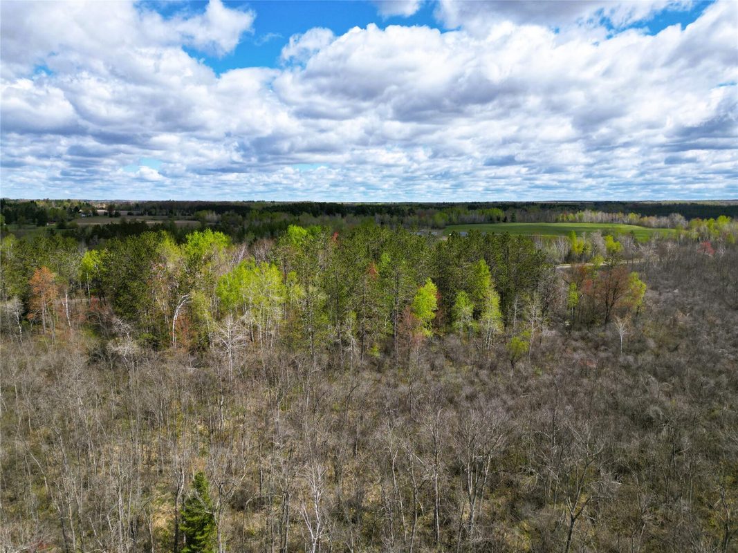 36.5 Acres E Cedarbrook Road, Ladysmith WI 54848 - Land house for sale - MLS #1601172 - image14
