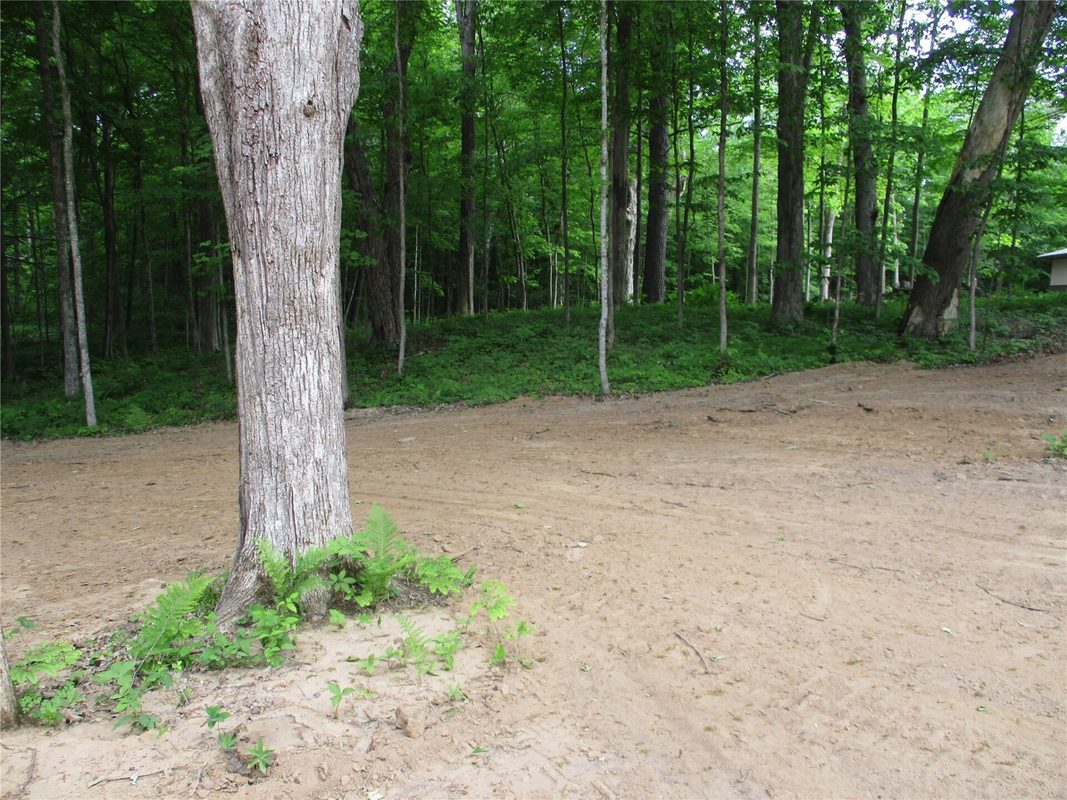 2982 MAPLE WAY / 28 7/16 Avenue, Birchwood WI 54817 - Land house for sale - MLS #1601859 - image3