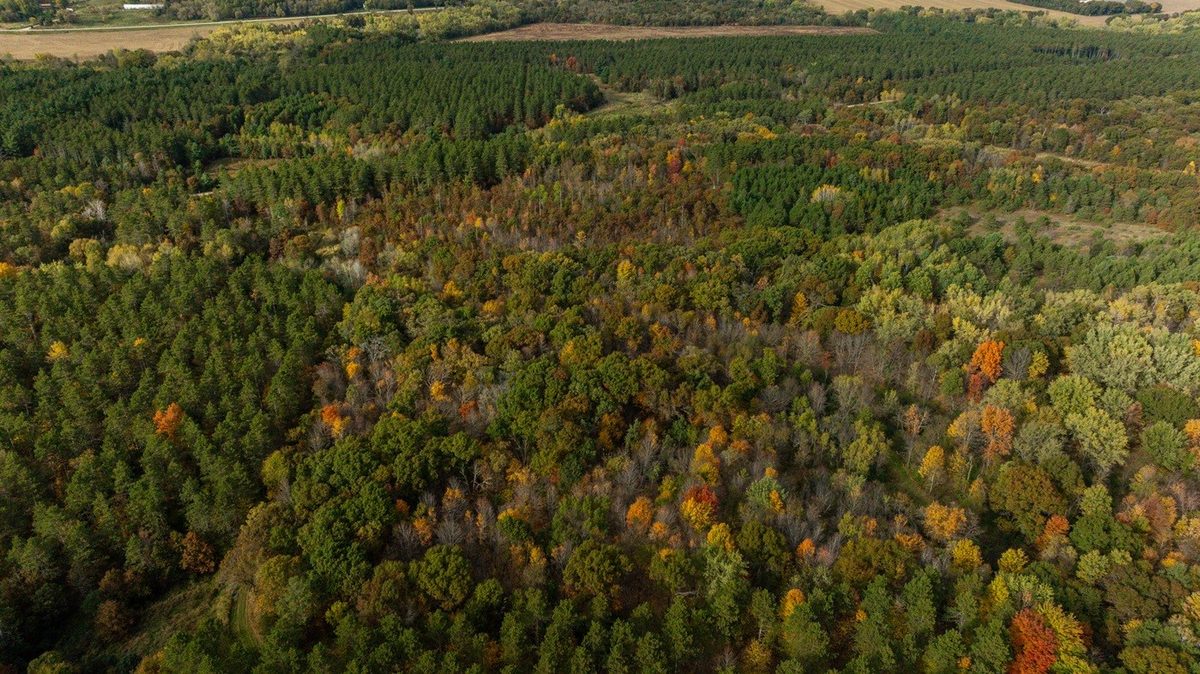 0 Prairie Road, Osseo WI 54758 - Land house for sale - MLS #1605860 - image40