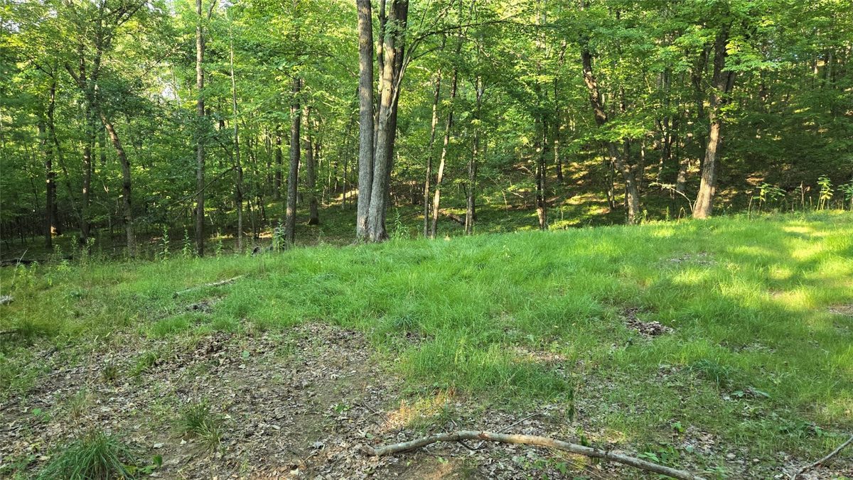 W02 State Highway 64, Colfax WI 54730 - Land house for sale - MLS #1604529 - image25