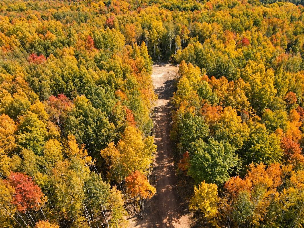 Parcel 4 County Road A, Solon Springs WI 54873 - Land house for sale - MLS #1604811 - image3