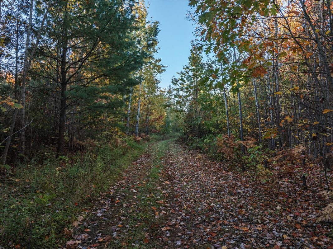 000 Winter Road, Elcho WI 54424 - Land house for sale - MLS #1605846 - image33