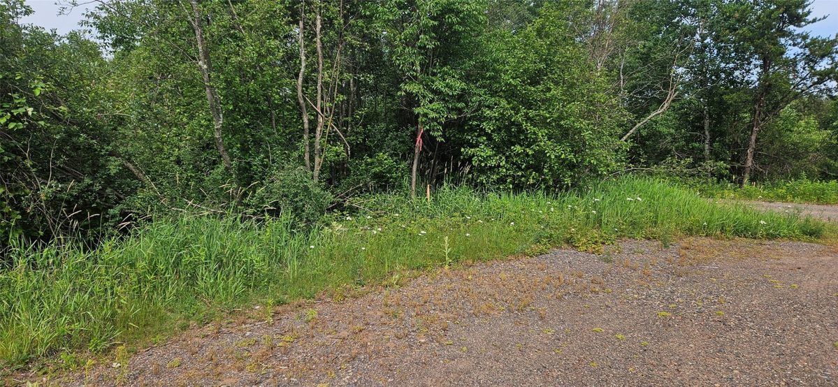 Lot A Windrose Lane, Hayward WI 54843 - Land house for sale - MLS #1602934 - image3