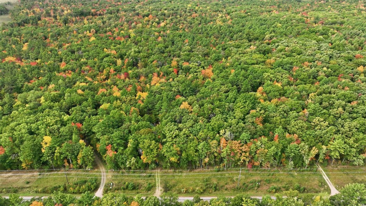S10130 County Road H, Fairchild WI 54741 - Residential house for sale - MLS #1605513 - image25