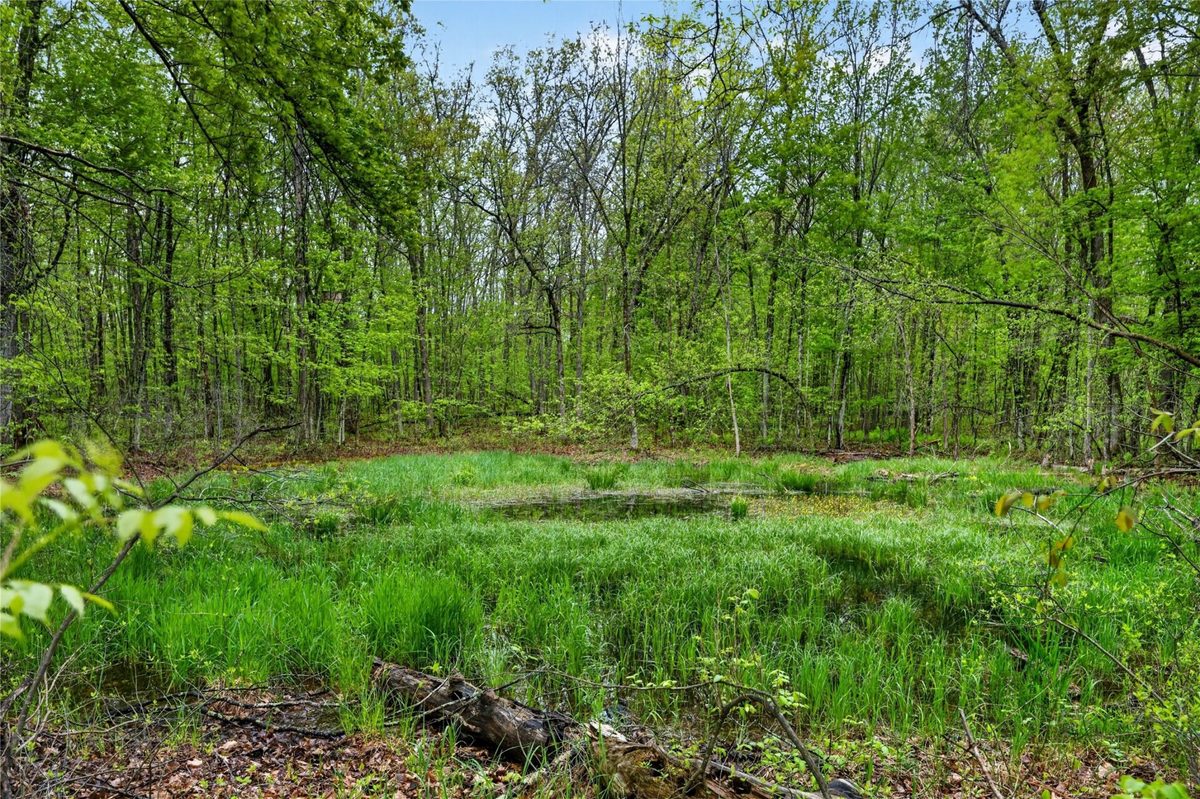 N8771 Fye Road, Trego WI 54888 - Residential house for sale - MLS #1601563 - image37
