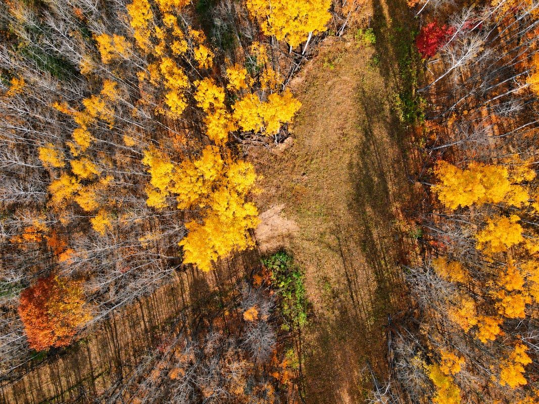 PARCEL 2 County Road A, Solon Springs WI 54873 - Land house for sale - MLS #1606050 - image16