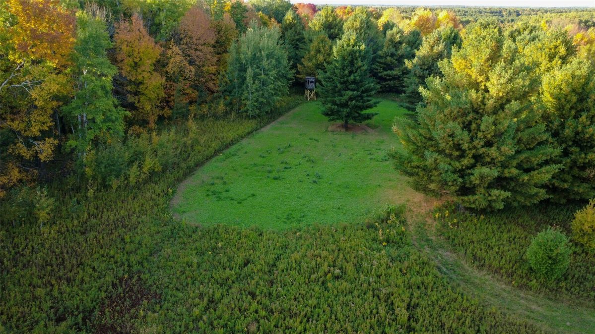 965 340th Avenue, Frederic WI 54837 - Land house for sale - MLS #1605722 - image22