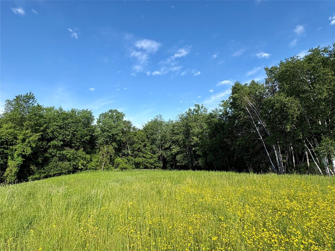 15.01 Acres 160th Avenue, Maiden Rock WI 54750 - Land house for sale - MLS #1604580 - image43