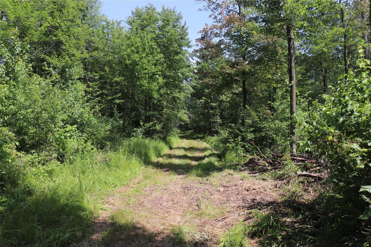 S11305 Kempton Road, Augusta WI 54722 - Land house for sale - MLS #1602723 - image11