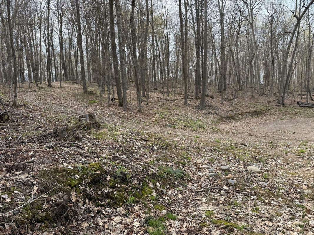 Lot 4 Balsam Drive, Birchwood, WI