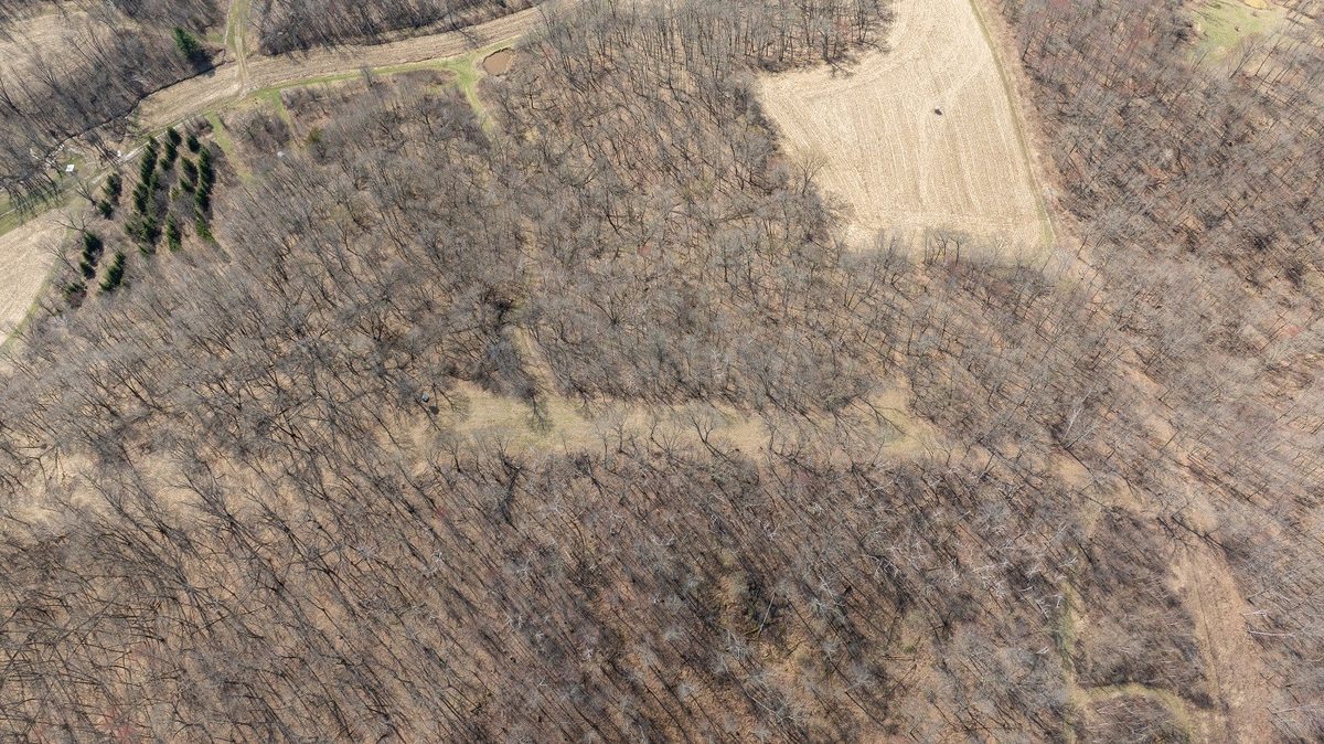 0 County Road S Blair WI 54616 — photo 48
