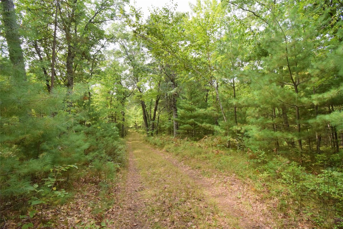 28206 Pardun Road, Danbury WI 54830 - Land house for sale - MLS #1604938 - image37