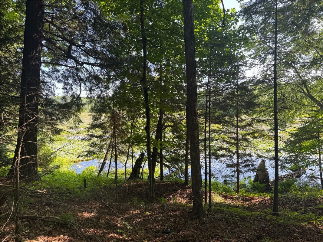 Lot 8 Crane Lane, Hayward WI 54843 - Land house for sale - MLS #1603375 - image27