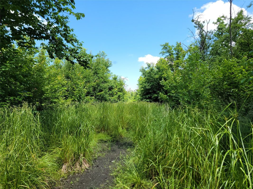 On County Road H, Radisson WI 54867 - Land house for sale - MLS #1603350 - image9