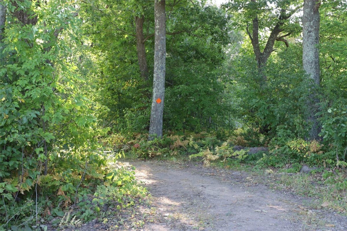 0000 Sand Lake Road, Stone Lake WI 54876 - Land house for sale - MLS #1604299 - image16