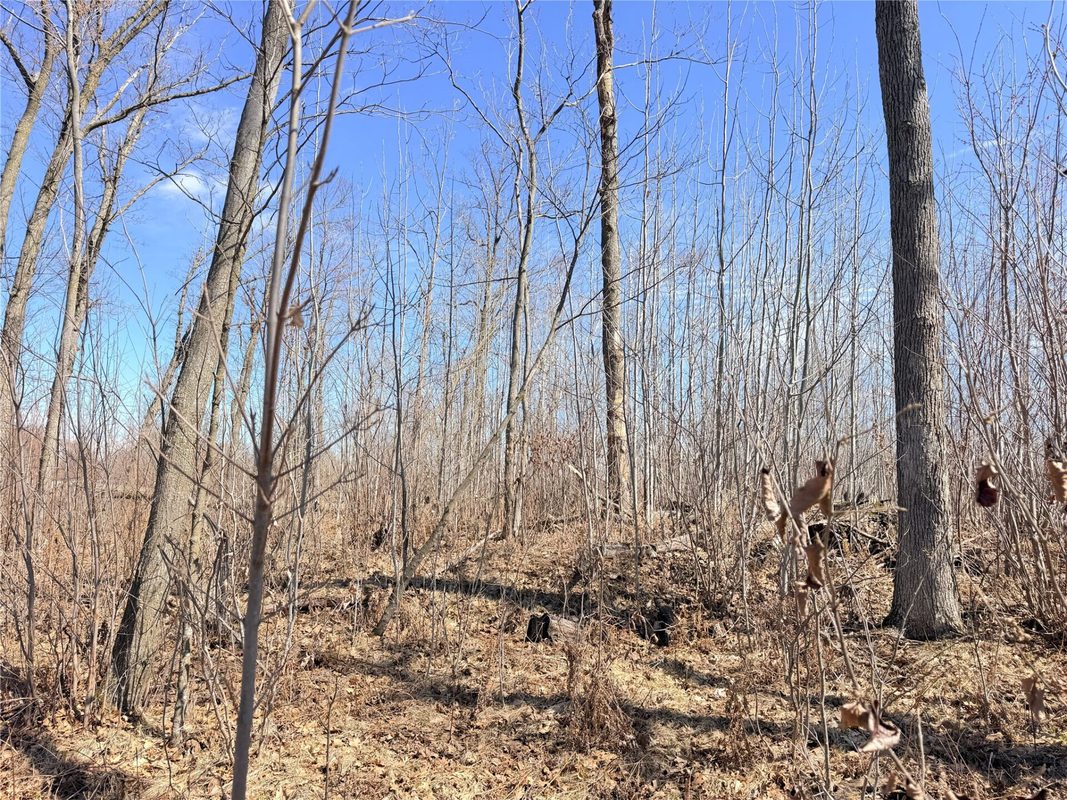 Lot 4 160th Avenue, Turtle Lake, WI — photo 16