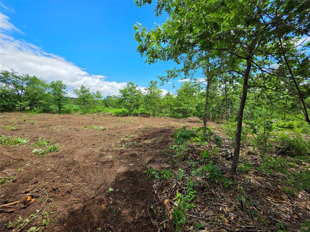 Lot 3 County Highway E, Elk Mound WI 54739 - Land house for sale - MLS #1600992 - image3