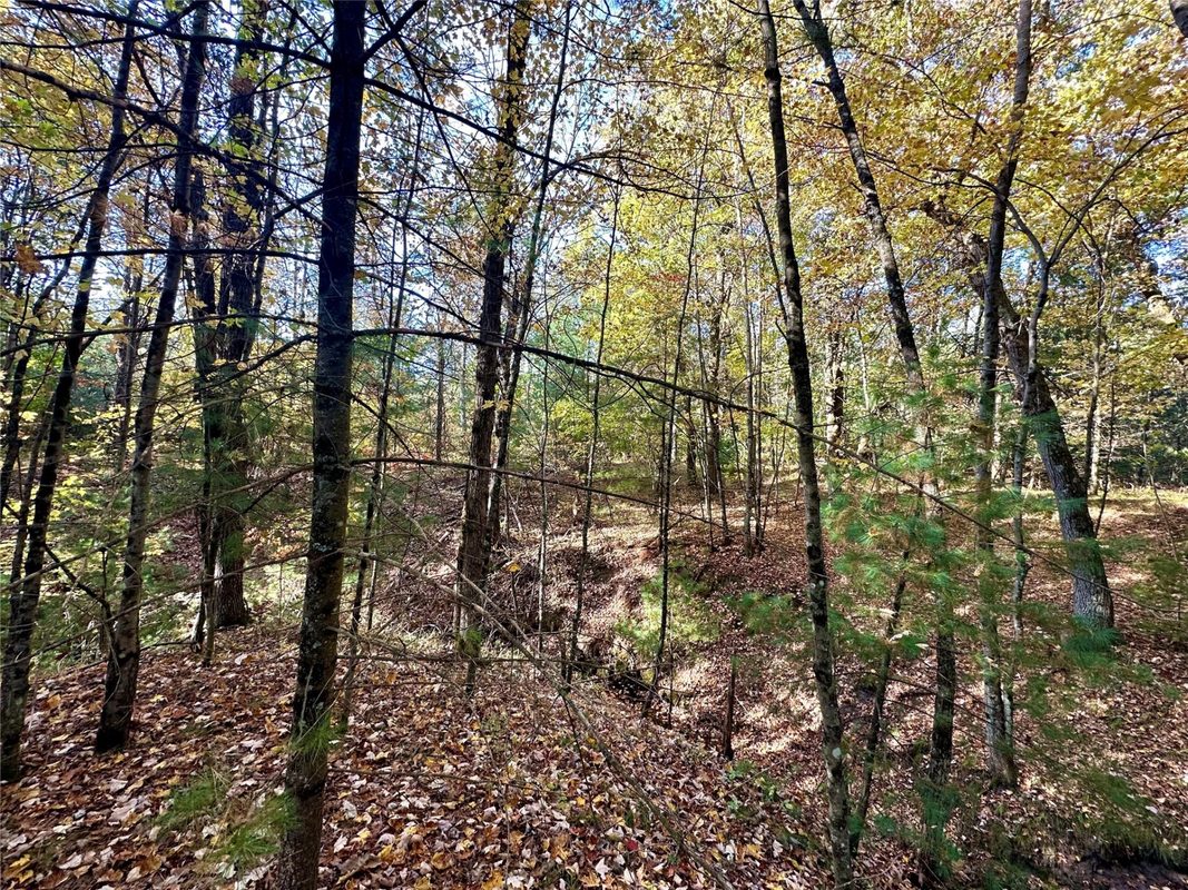 S3678 County Road N, Augusta WI 54722 - Land house for sale - MLS #1605865 - image21