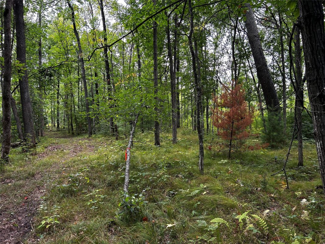 Lots 5 & 6 State Highway 70, Spooner WI 54801 - Land house for sale - MLS #1604806 - image32