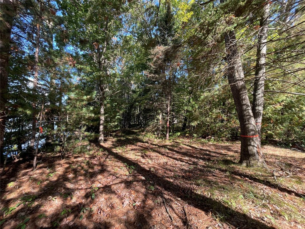 6073 Elsie Road, Stone Lake WI 54876 - Land house for sale - MLS #1602616 - image15