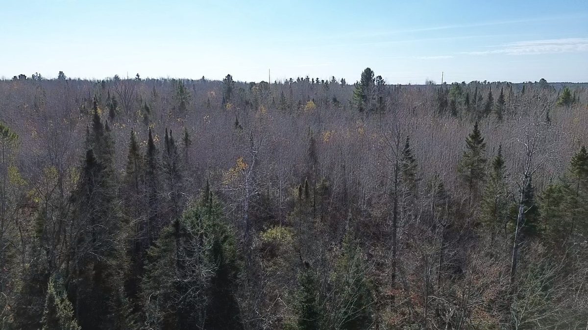 127XX State Highway 70, Couderay WI 54828 - Land house for sale - MLS #1606290 - image33