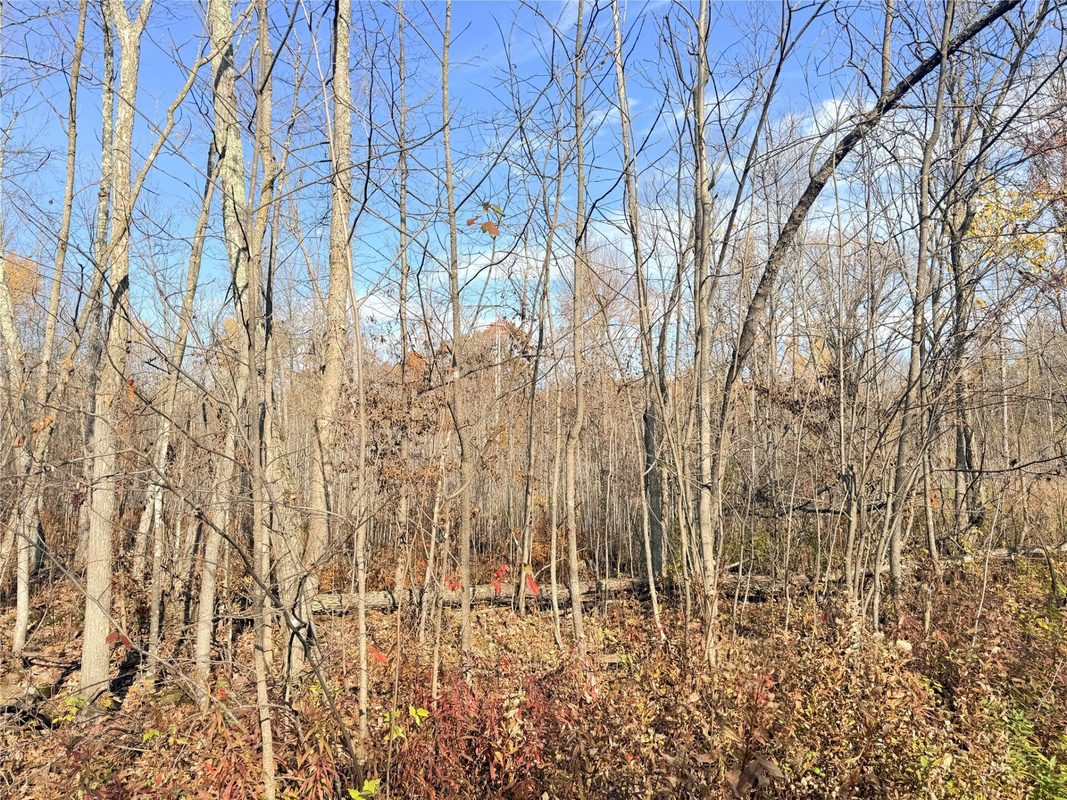 0 County Highway C, Rice Lake WI 54868 - Land house for sale - MLS #1605929 - image57