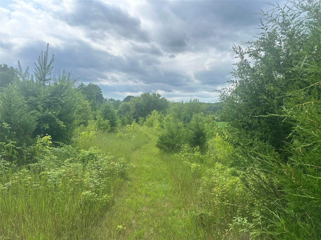 10925 Hemlock Road, Mondovi WI 54755 - Land house for sale - MLS #1604420 - image3