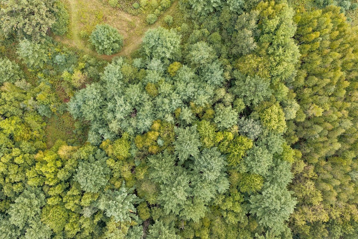 Lot 2 County Hwy X, Cadott WI 54727 - Land house for sale - MLS #1605345 - image19