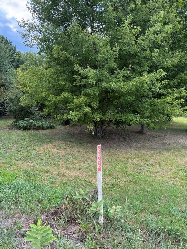 5956 County Hwy H, Stanley WI 54745 - Land house for sale - MLS #1604622 - image2