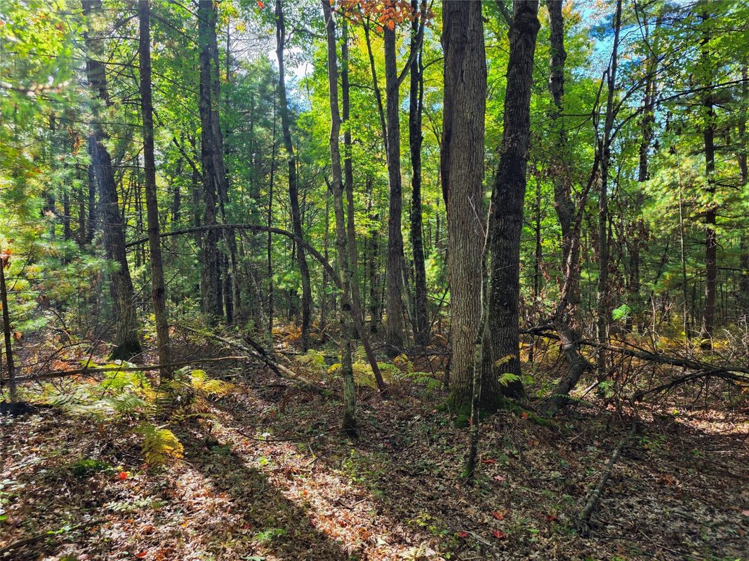 S10130 County Road H, Fairchild WI 54741 - Residential house for sale - MLS #1605513 - image36